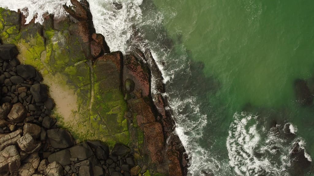 Drone Panorama