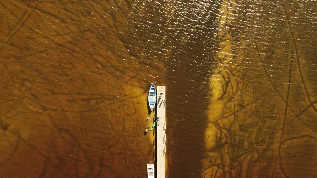 Drone Portrait